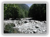 Die Verzasca hat sie
alle rund geschliffen.