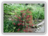 Botanischer Garten