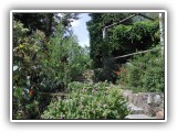 Botanischer Garten
