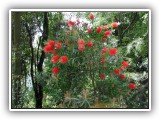 Botanischer Garten