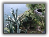 Botanischer Garten
