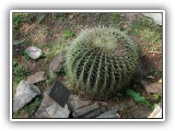 Botanischer Garten