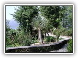 Botanischer Garten