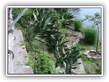 Botanischer Garten
