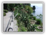 Botanischer Garten