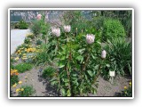 Botanischer Garten