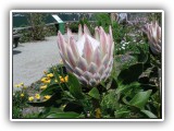 Botanischer Garten