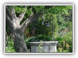 Botanischer Garten