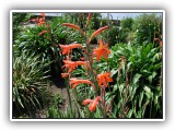Botanischer Garten