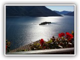 Brissago-Inseln von oben.